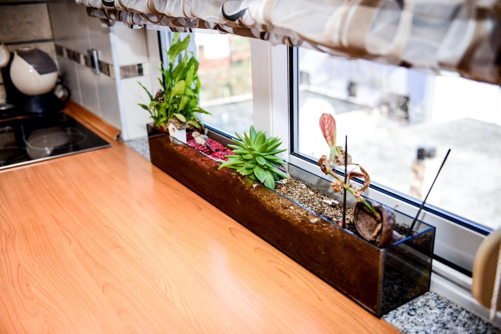 Apartman Ksenija Zara Esterno foto